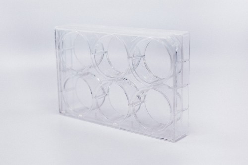  Płytki do hodowli komórkowych 6-dołkowe 