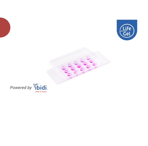 ibidi_LifeGel_main_version6.png