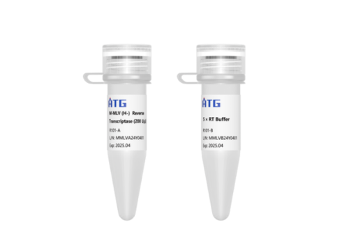Screenshot 2025-07-23 at 13-35-12 【R101】 M-MLV (H-) Reverse Transcriptase（耐受65℃）_ATG- 汇巨匠心 质造酶好.png