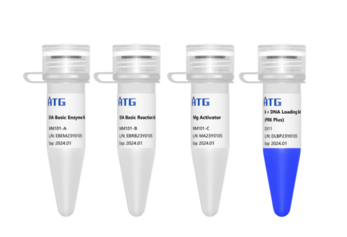 Screenshot 2025-07-24 at 08-50-04 【MM101】 ATG® EIA Basic Kit_ATG- 汇巨匠心 质造酶好.png