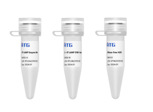 Screenshot 2025-07-24 at 09-10-11 【M202】ATGScript® one Step RT-LAMP SYBR Green kit_ATG- 汇巨匠心 质造酶好_ATGScript® one Step RT-LAMP SYBR Green kit_LAMP.png